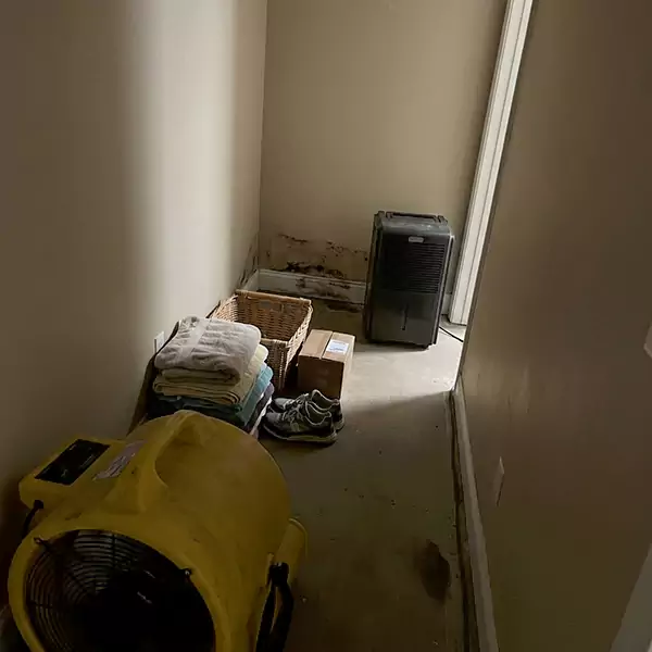 Expert Water Remediation in Simi Valley, CA 