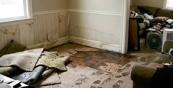 Why Choose Simi Valley Water Damage For Water Damage Restoration Services in Simi Valley, CA?