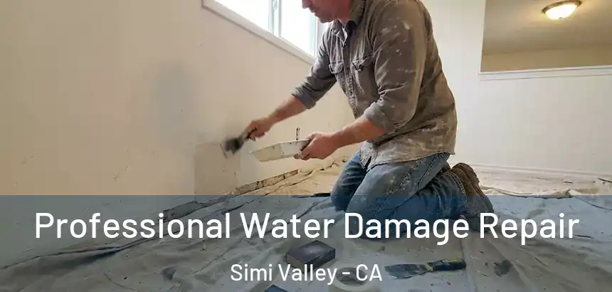 Professional Water Damage Repair Simi Valley - CA