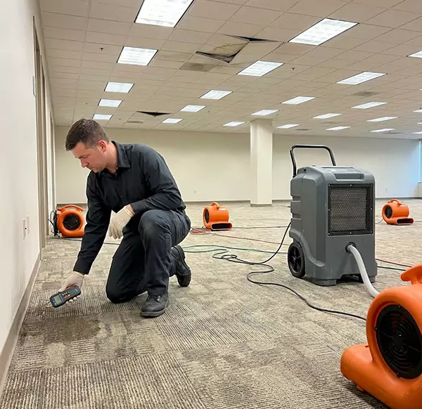 Why Businesses Choose Simi Valley Water Damage for Commercial Water Damage in Simi Valley, CA?